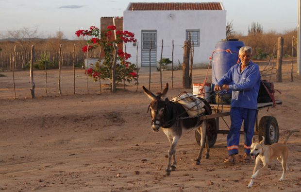 carroça com jumento