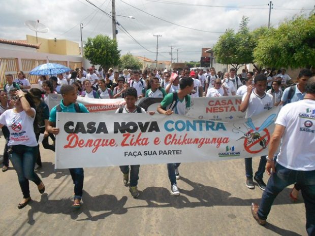 casa nova