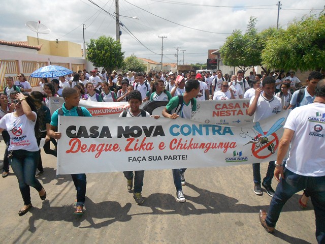 casa nova