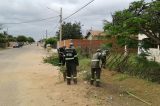Prefeitura reinicia atividades do Terça – feira Verde, no Projeto Irrigado C2 Prefeitura reinicia atividades do Terça – feira Verde, no Projeto Irrigado C2