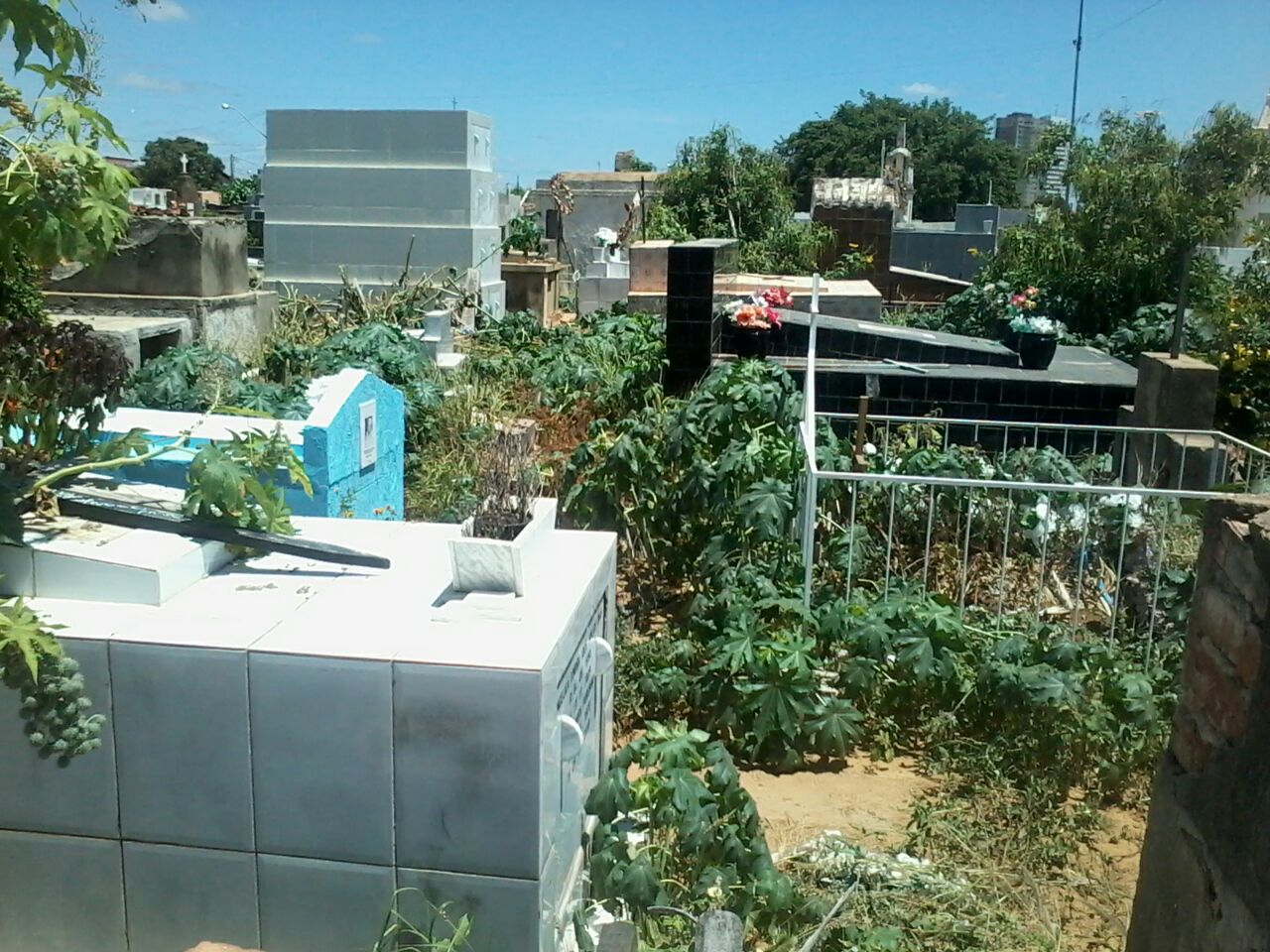 cemiterio7