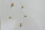 Preso por posse de droga