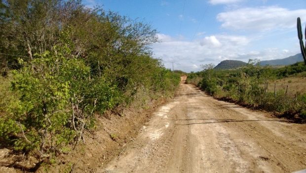 estrada loiola recuperada