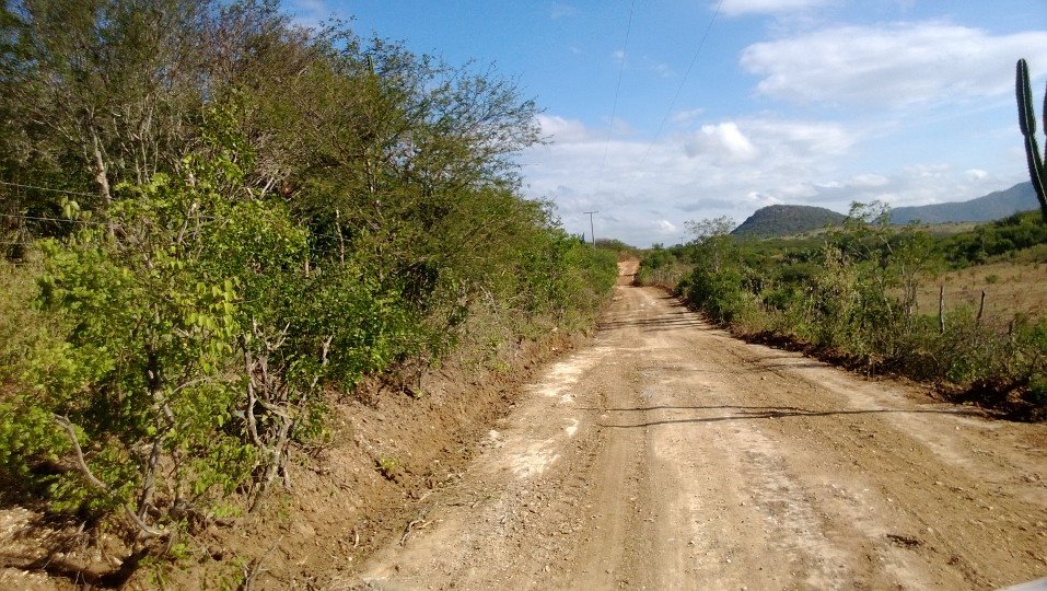 estrada loiola recuperada