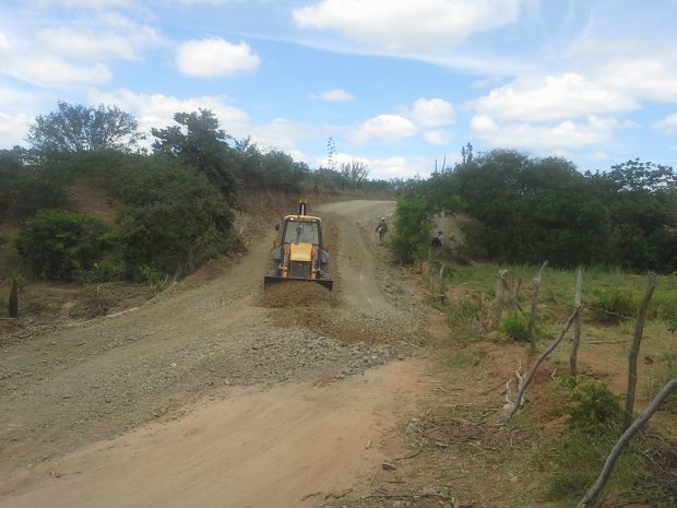 estrada loiola1