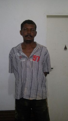 homicida afranio