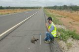 Animal é resgatado na rodovia da BR-235/BA