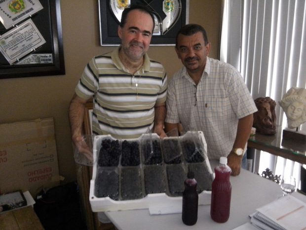 lossio e vinho