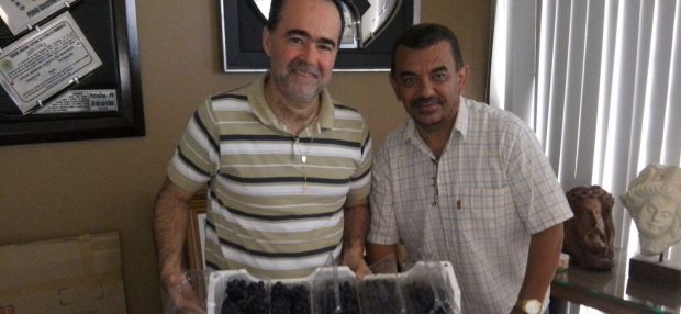 lossio e vinho1