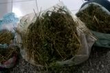 Homem preso com drogas