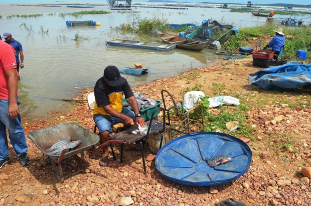 peixe na beira do rio1