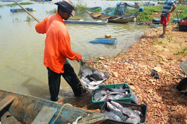 peixe na beira do rio4