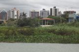 Piranhas levam temor a banhistas no Velho Chico