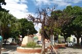 Semana em comemoração ao Dia do Índio com praça abandonada em Juazeiro