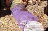 Casa Nova: Mais dois homicídios são registrados em menos de 24h