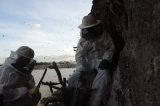Univasf participa de remoção de abelhas na Ilha do Fogo