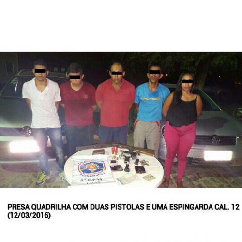 material2 presos