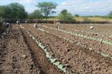 Mais uma etapa do Programa ‘Palmas Para Juazeiro’ é lançada na zona rural do município