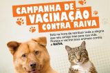 Em Petrolina, a Campanha contra Raiva acontece em mais 10 localidades