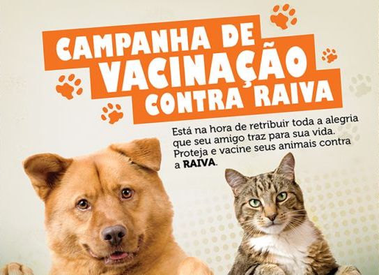 vacinação