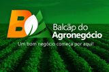 Balcão do Agronegócio potencializará o segmento agrícola do Vale do São Francisco