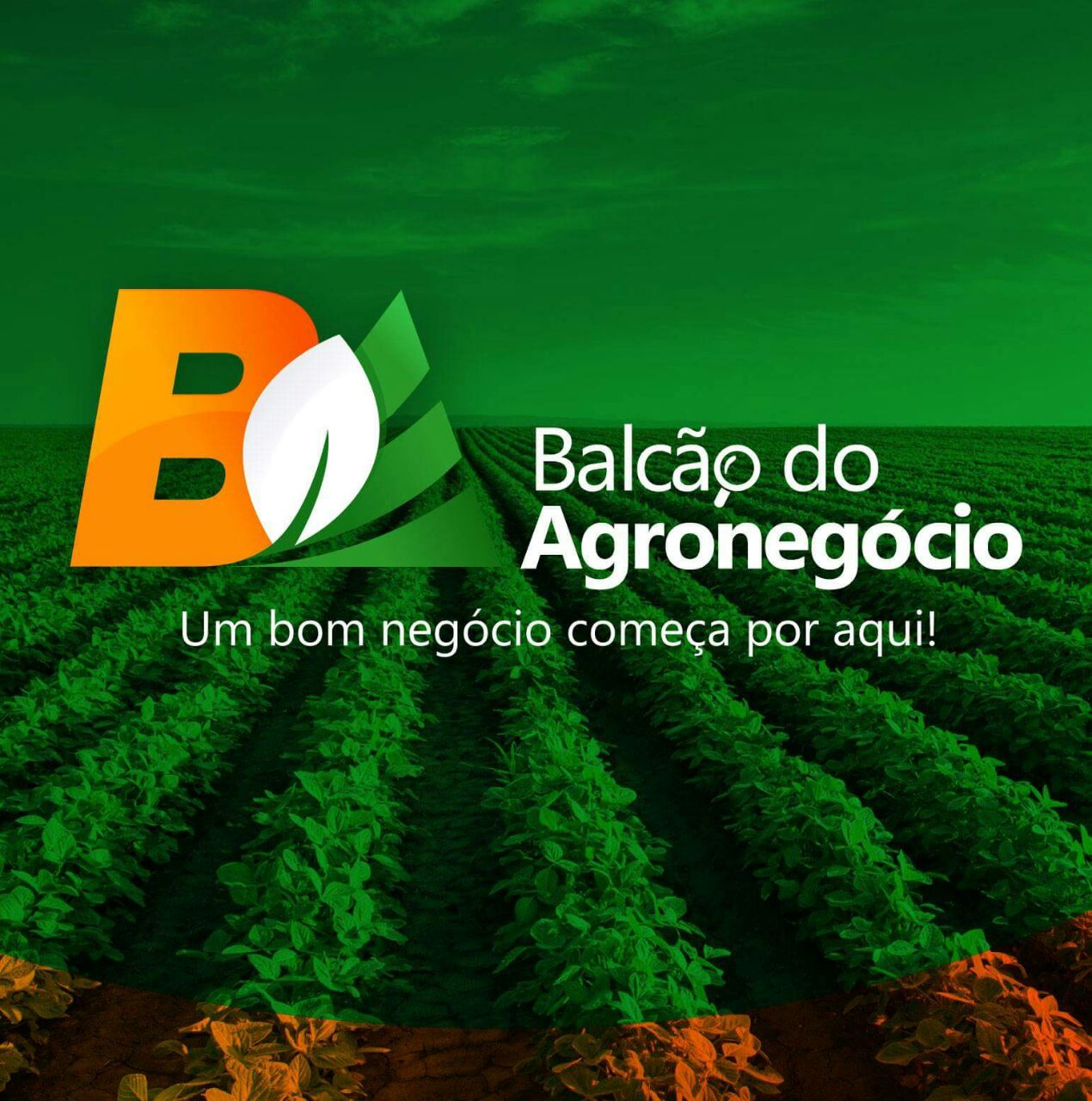 balcãodoagrónegócio