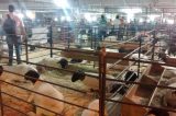 Prefeitura e ACCOSSF realizam décima Expovale em Juazeiro