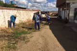 Prefeitura de Uauá estende ações de limpeza e capina em vias pública da cidade