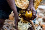 Mudanças climáticas ameaçam desenvolvimento e existência humana na África, diz ONU