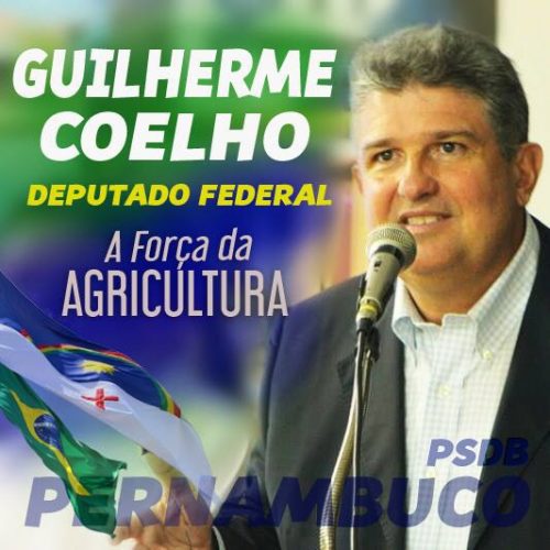 guilherme44