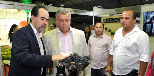 lossio com uvas
