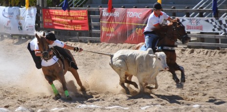 vaquejada