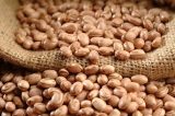 Safra de grãos da Bahia cresce quase 50%