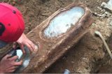 O segundo funeral da menina misteriosa enterrada há 145 anos e encontrada em reforma de casa nos EUA