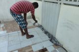 Casa abandonada infestada de carrapatos preocupa moradores em Sobradinho