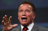Elefante ‘persegue’ Arnold Schwarzenegger em safári