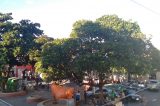 Equipe de limpeza da Prefeitura de Juazeiro faz ‘serviço porco’ na Praça do Índio