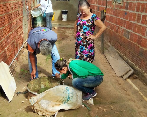 combate dengue1