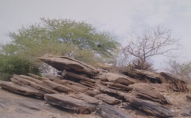 pedra3