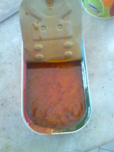 sardinha2