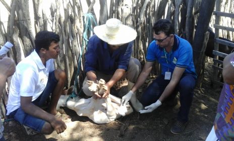 Dia de Campo Comunidade de Curral Novo - Casa Nova