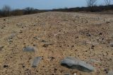 Protesto em Sento Sé devido o abandono da estrada