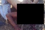 Juazeiro: Homem morto a facadas em Massaroca
