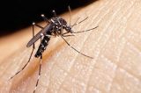 Agência dos EUA recomenda teste de zika para todas doações de sangue