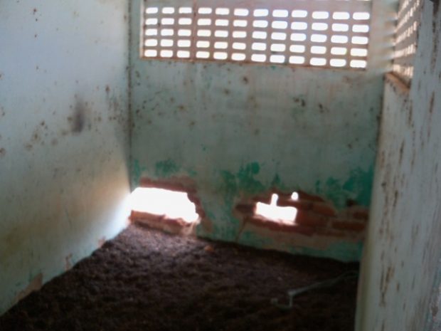 instalacoes-da-prefeitura-na-zona-servia-de-chiqueiro