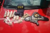 Policia apreende carro roubado com simulacro de arma de fogo