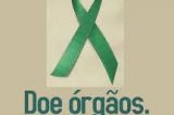 CAMPANHA SETEMBRO VERDE INCENTIVA À DOAÇÃO DE ÓRGÃOS EM PETROLINA