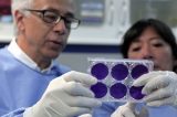 Pesquisadores revelam remédio promissor para Alzheimer