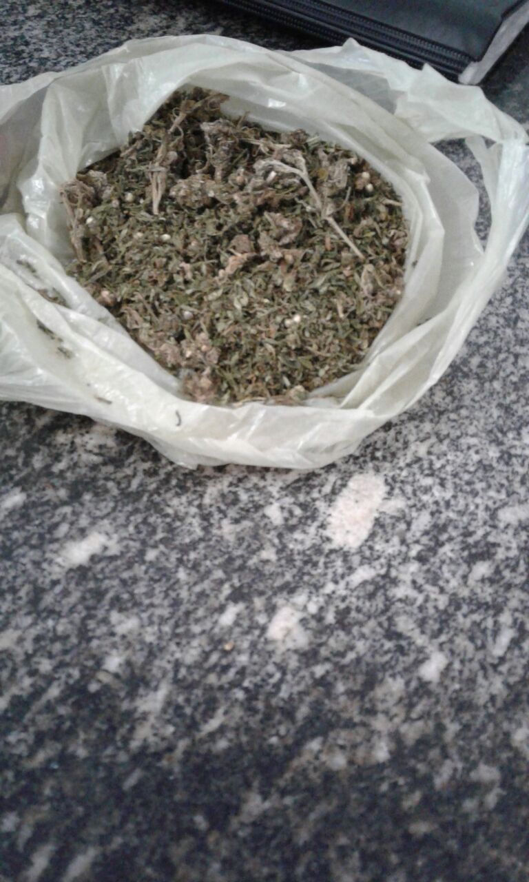 maconha no plastico