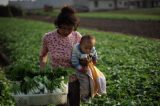 Caso de mãe que matou 4 filhos e se suicidou evidencia drama de milhões de miseráveis na China rural